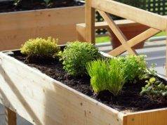 Choosing the Right Wood for Your Raised Garden Bed: Tips and Tricks