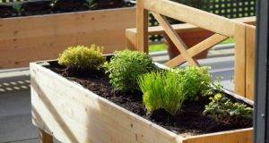 Choosing the Right Wood for Your Raised Garden Bed: Tips and Tricks