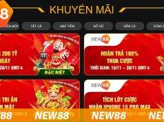 Introduction to online casinos New88