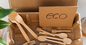 Eco-Friendly Moving: Sustainable Tips to Reduce Your Carbon Footprint While Relocating