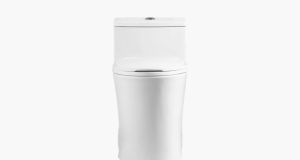 The Best One-Piece Toilet: Discover the Horow T0280W